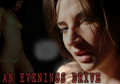 An Evenings Drive